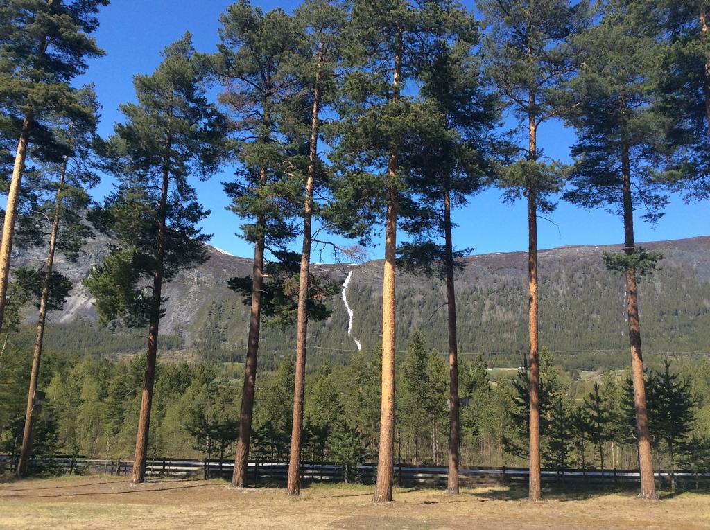 Furuly Camping Nordberg Bagian luar foto