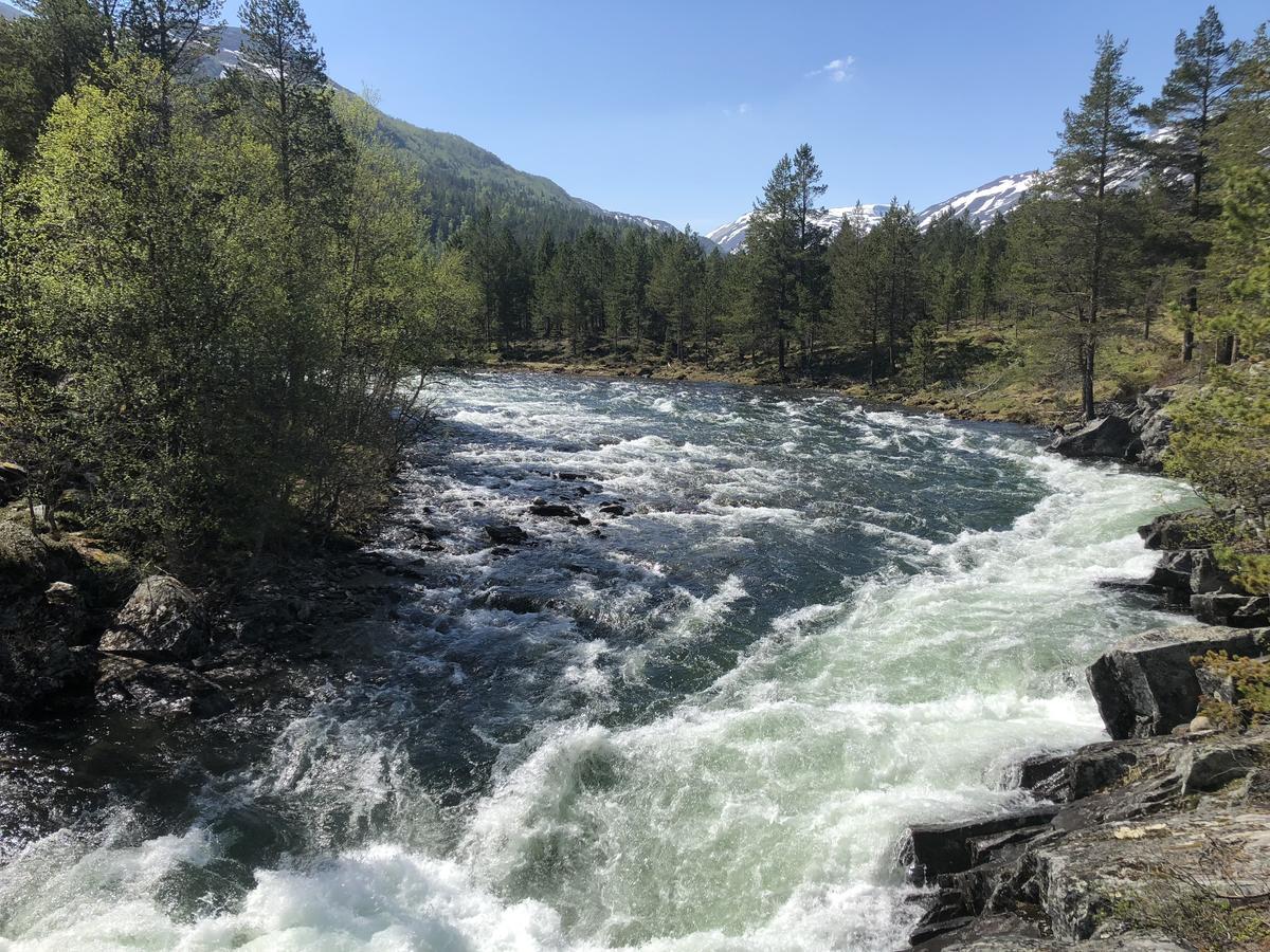 Furuly Camping Nordberg Bagian luar foto